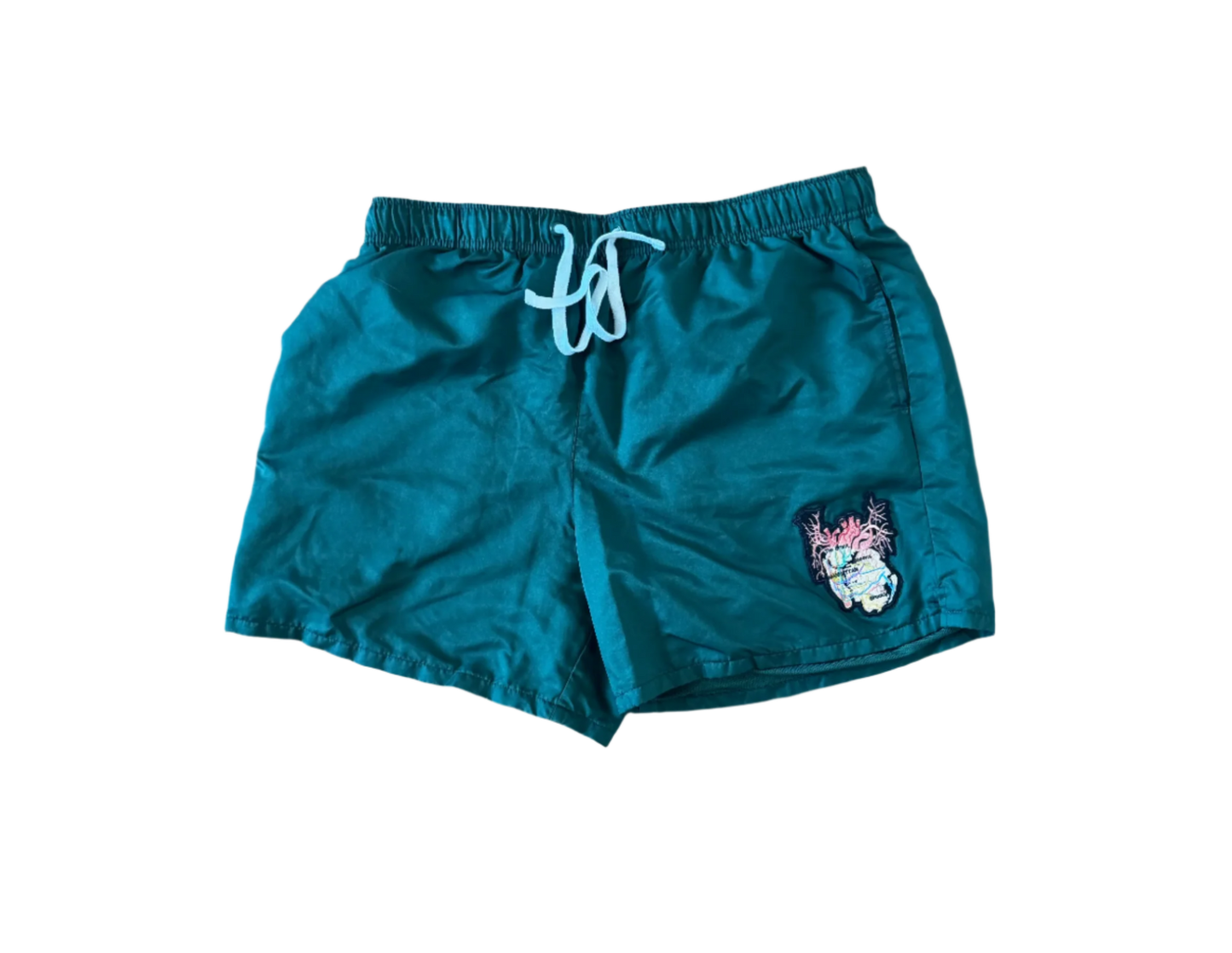 New York City Arteries athletic shorts