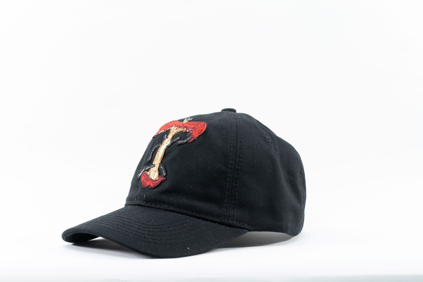 Rotten Apple Dad Hat