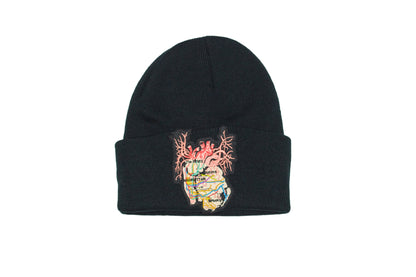 New York City Arteries black beanie