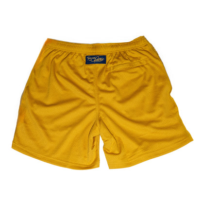 NYC Artery Mesh Basketball Shorts