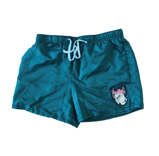 New York City Arteries athletic shorts