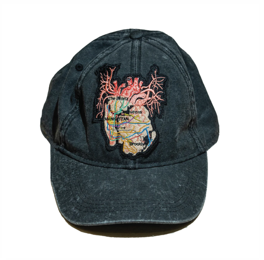 New York City Arteries Garment Dye Hat