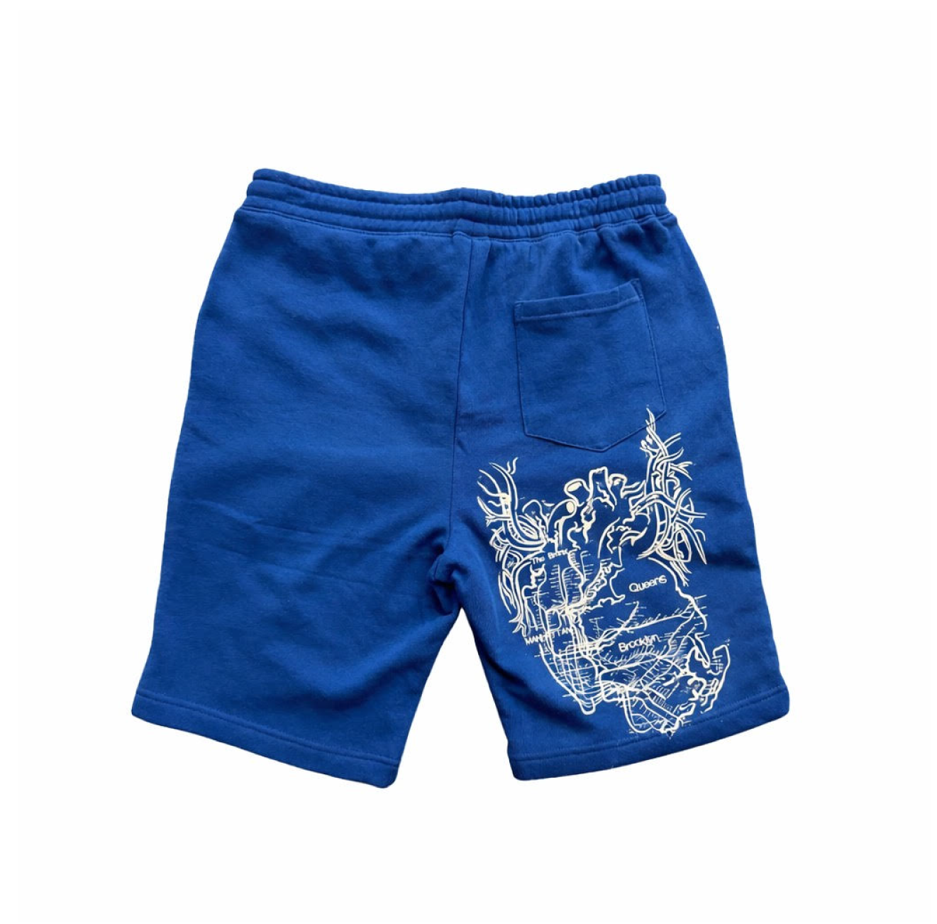 New York City Arteries Premium Cotton Shorts