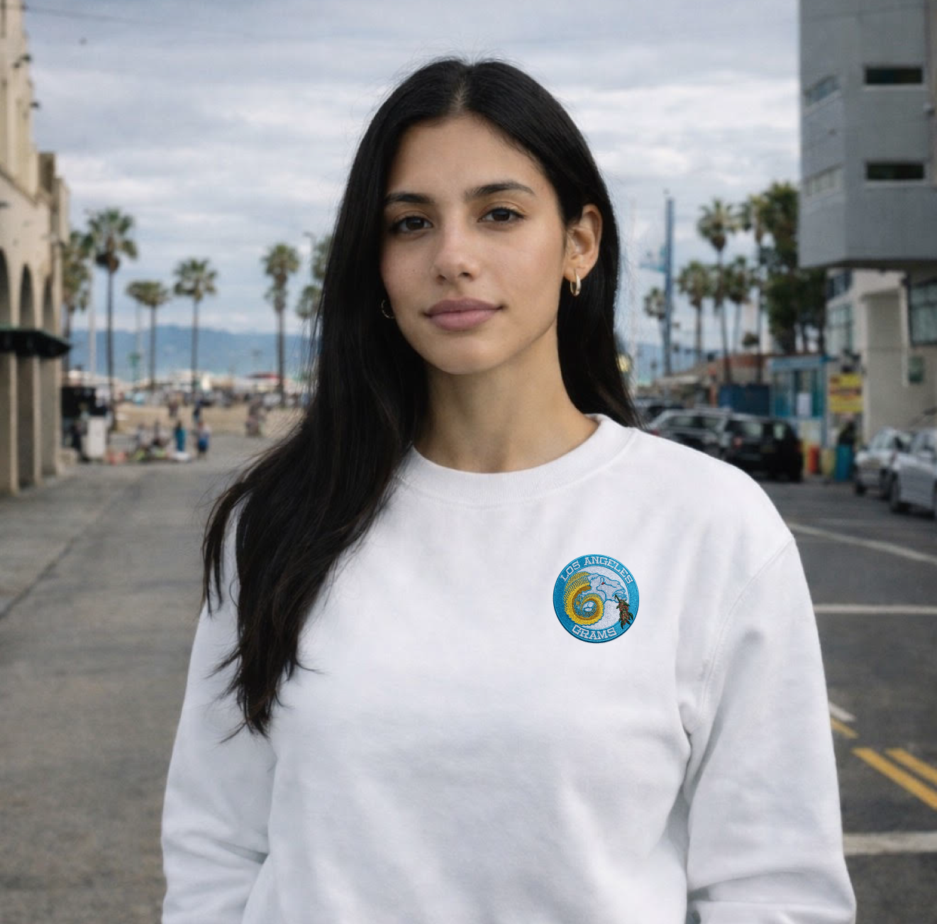 Los Angeles Grams Subtle Heavyweight Crewnecks